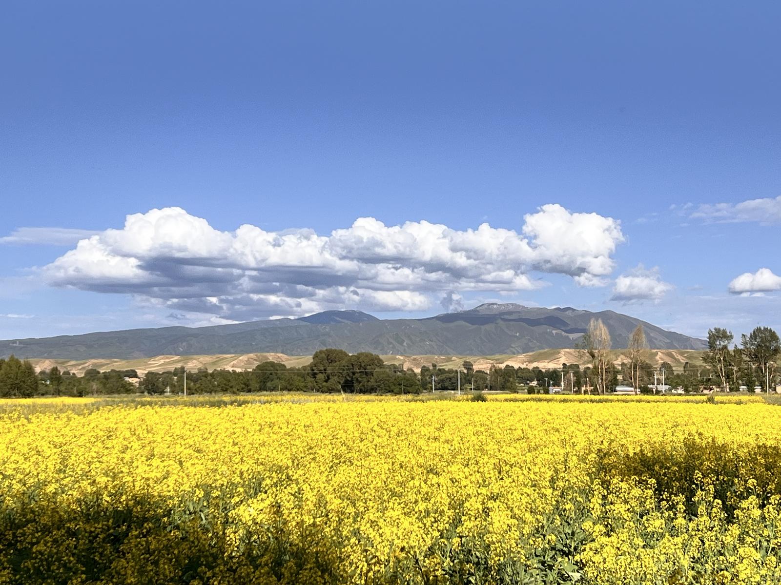 1752828514608097771.jpg 704e07a236ba471aa0d08312856964bb.jpg