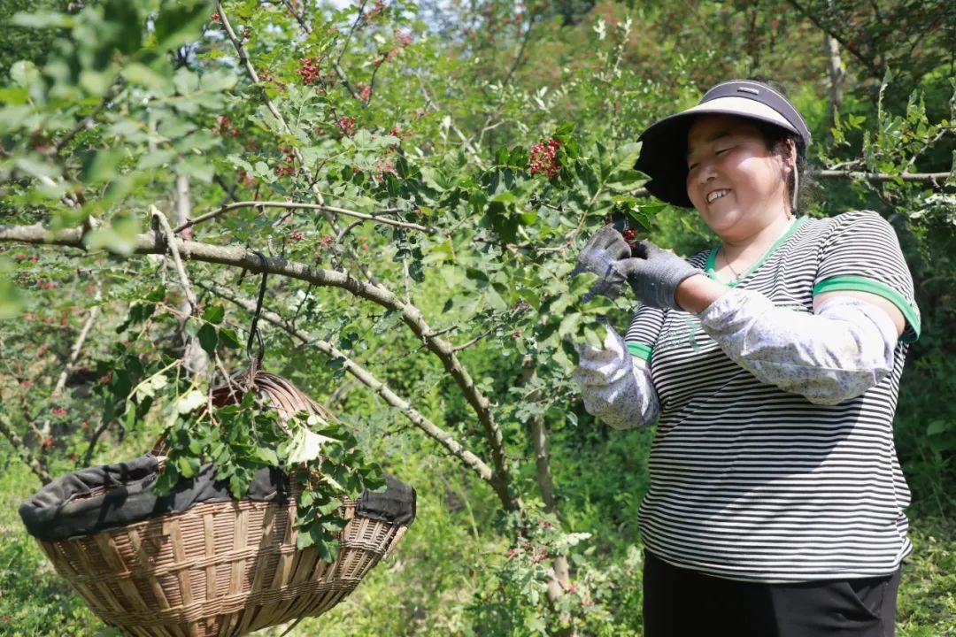 1753084858234096937.jpg 1752801273746062910.jpg