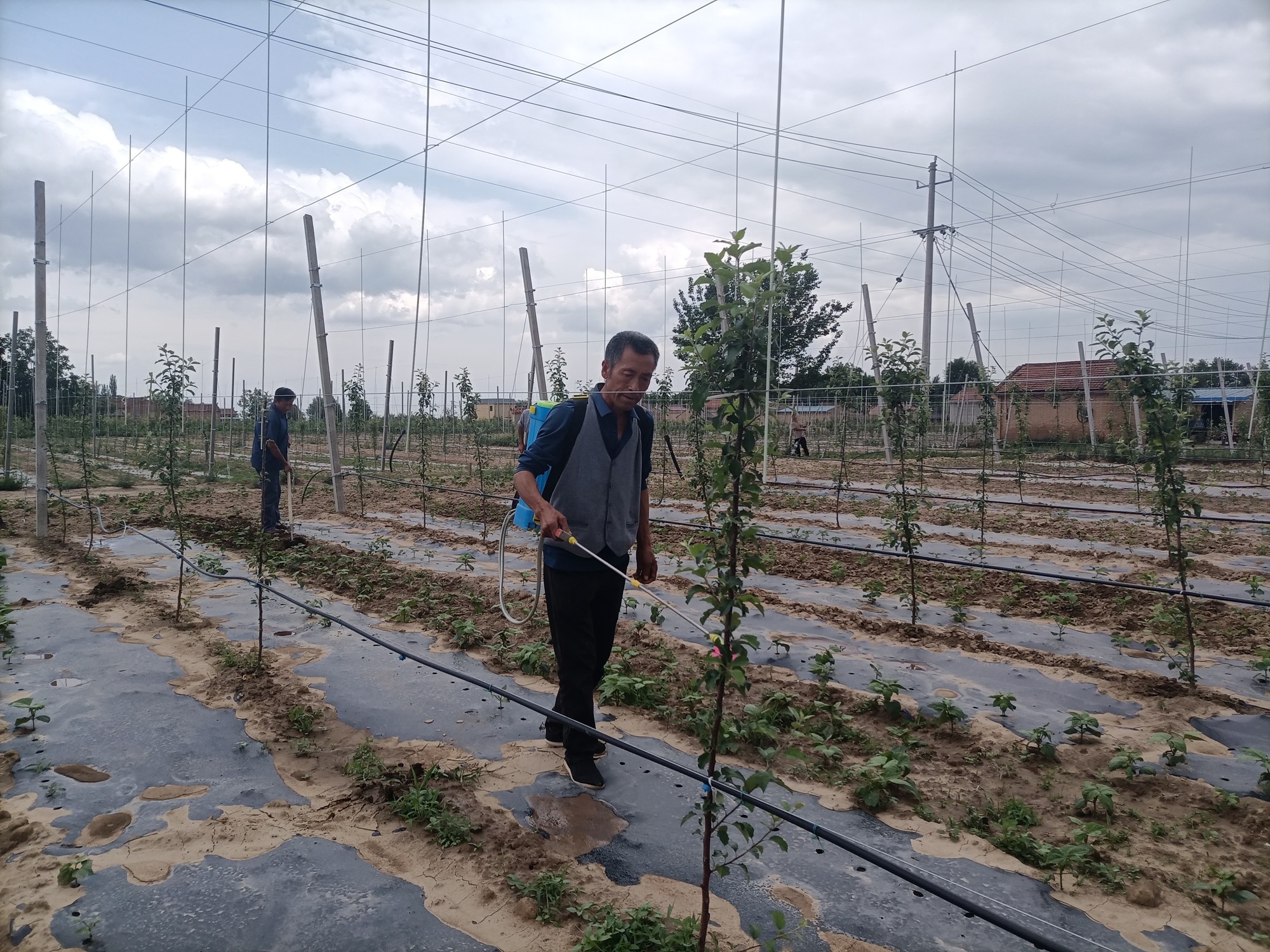 1753085642116085458.jpg 1752715594308055130_副本.jpg