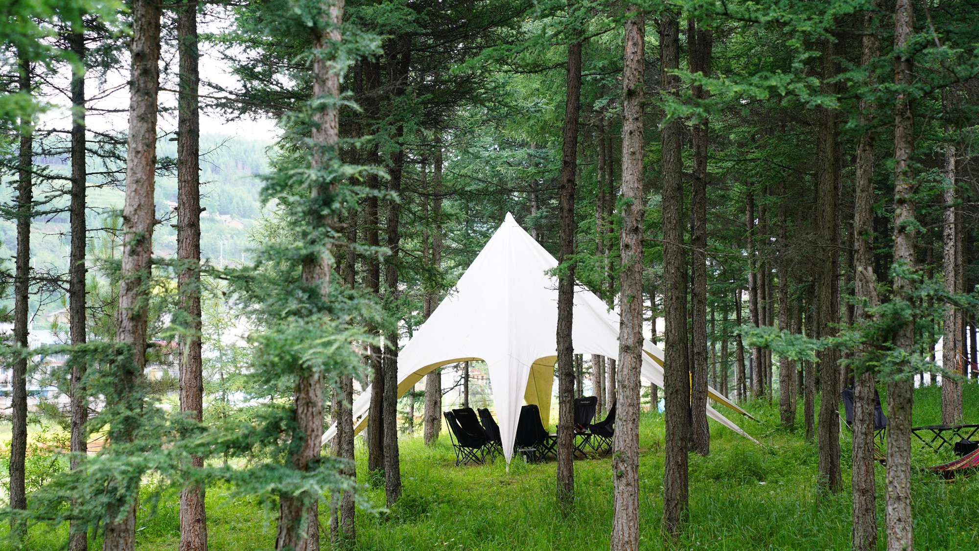 1753086417035034729.jpg 1752739800329045721_副本.jpg