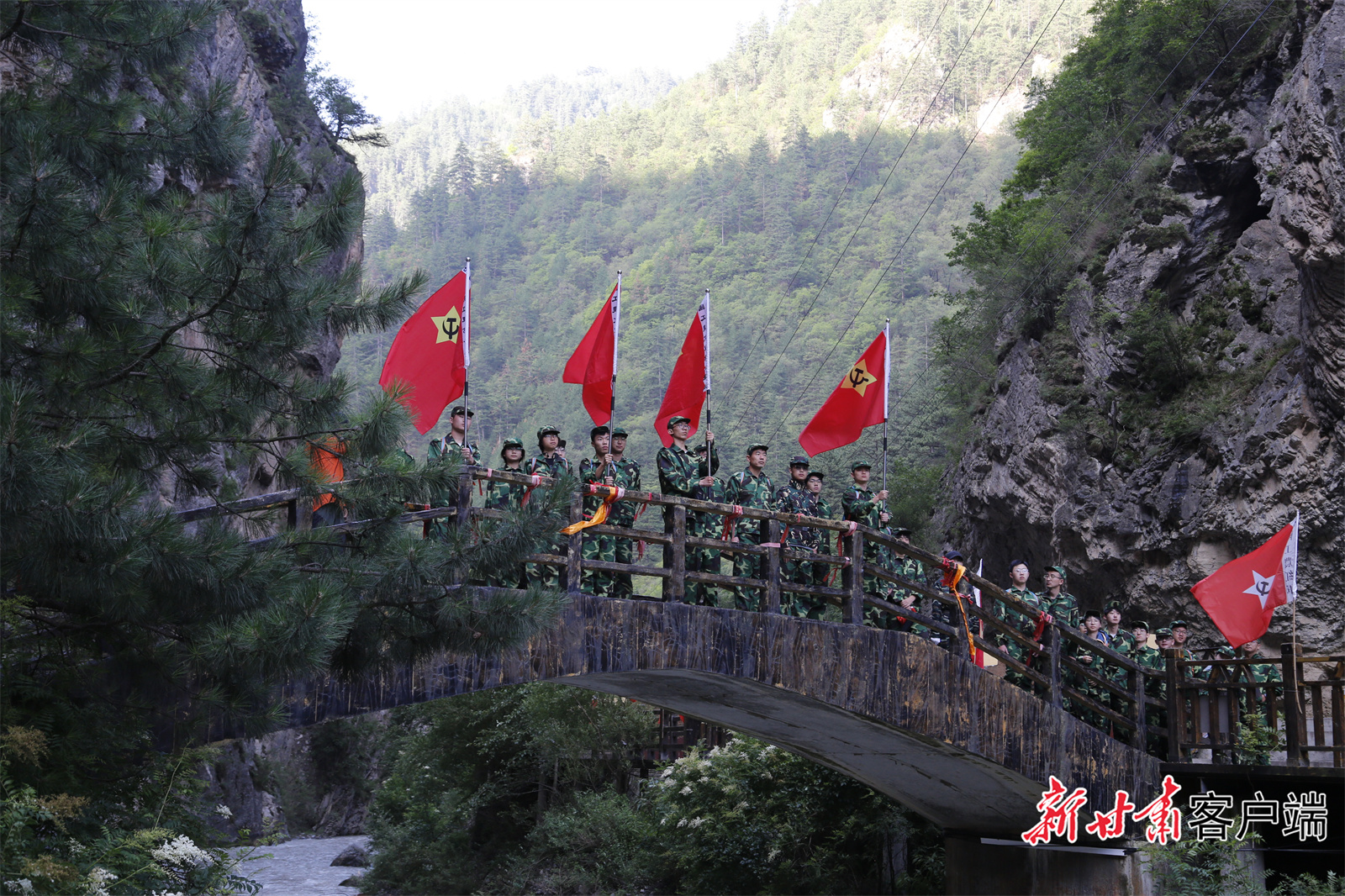 FZ100442271967_A5231392