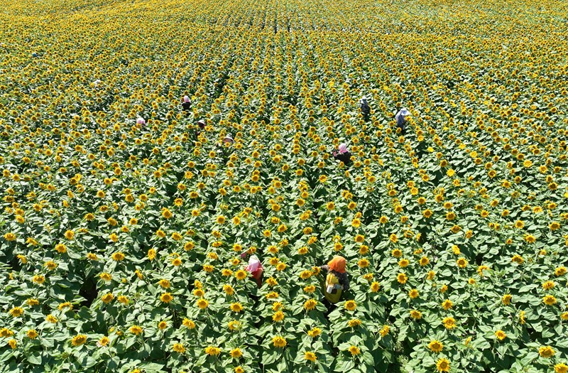 1753259431610076592.jpg f9ca7aebb02640628d84b11021615618.jpg