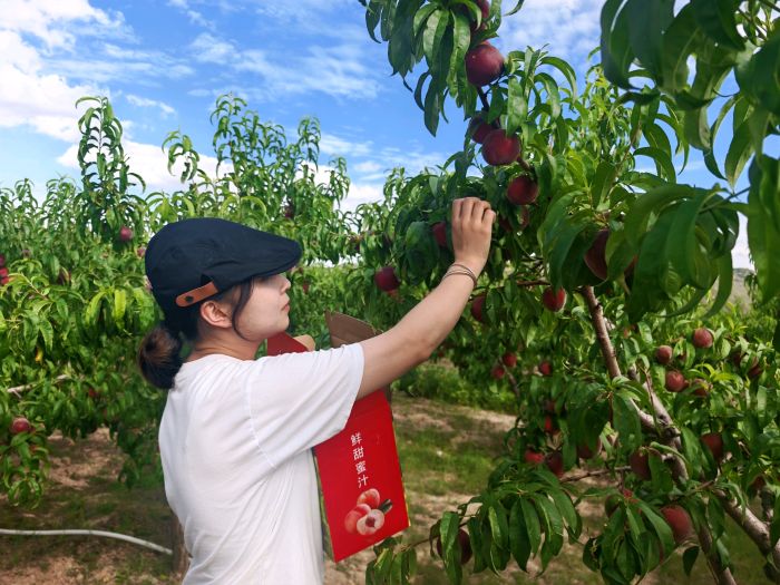 1753259800016002130.jpg 7dddb84d2d564f30b45e7d0bab2525b4_s.jpg