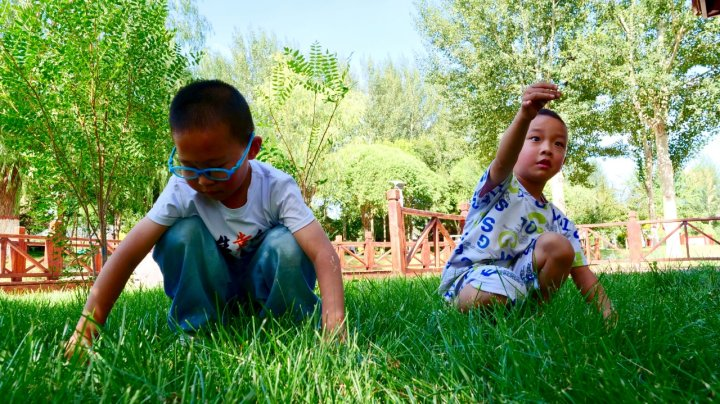 1753260151072001312.png 3f9dc9ddd5d04e3caf6734ea26c864ee.png