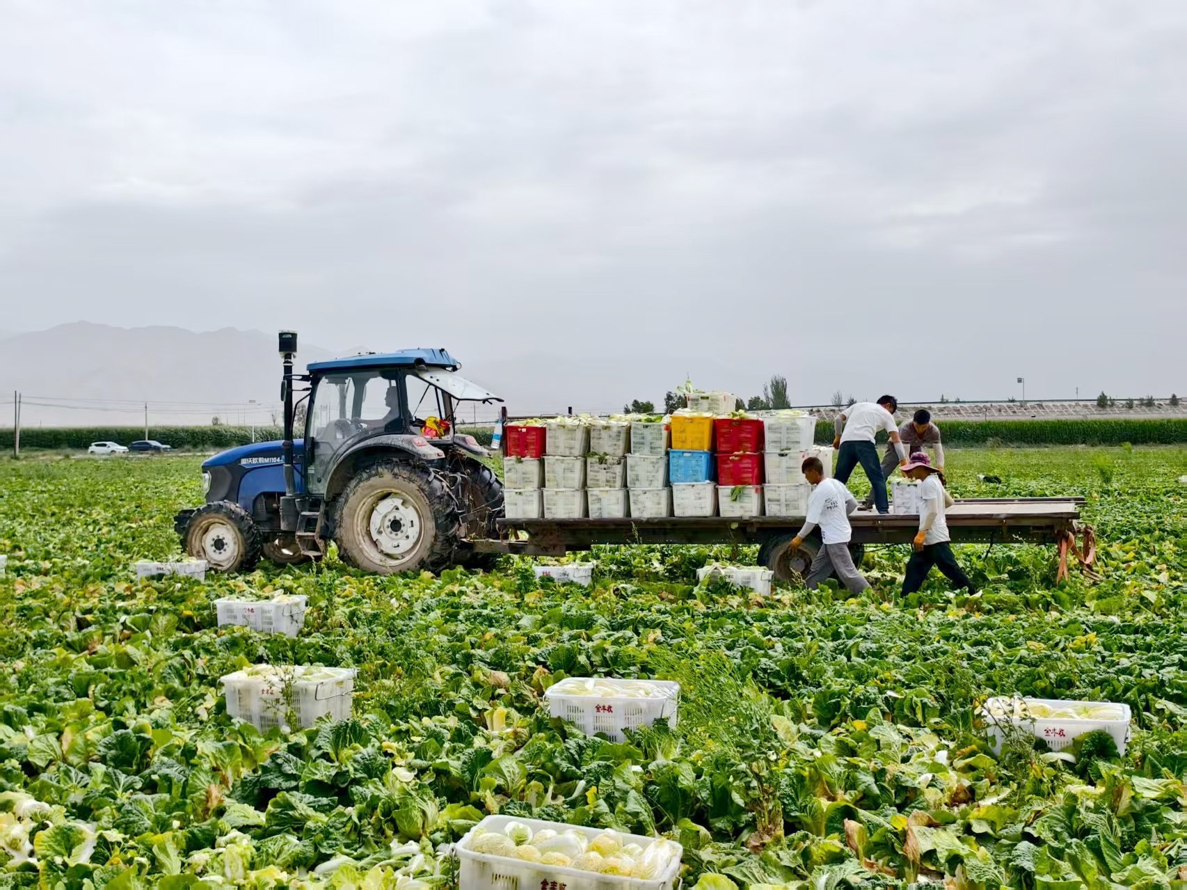 1753261430683050756.jpg 417a9fdcad27479bafe0e91a47242755.jpg