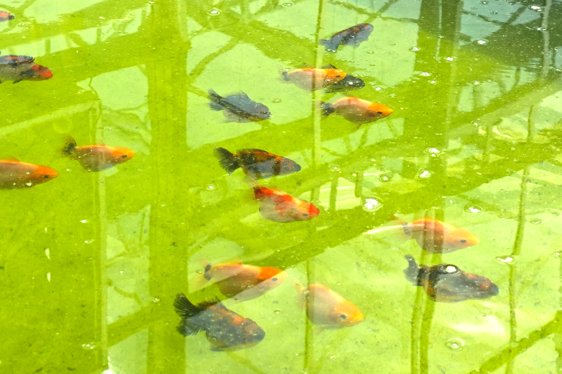 微信图片_2025-07-25_152233_622