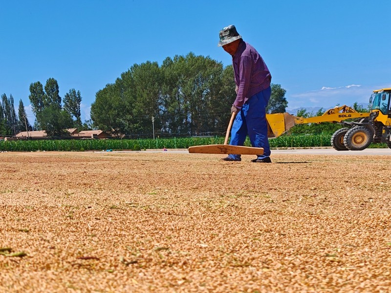 1753433052388086409.jpg e1ef6c0b502f4cff8aa4686ff47eb944.jpg