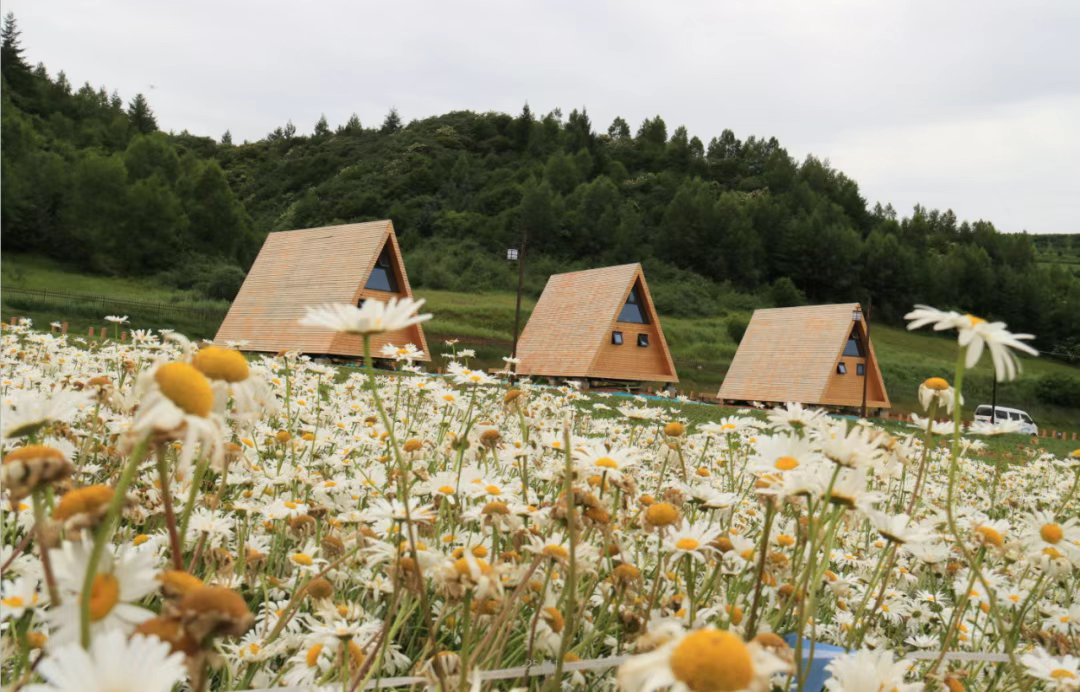 1753863438951081028.png 1753411876446057110.png