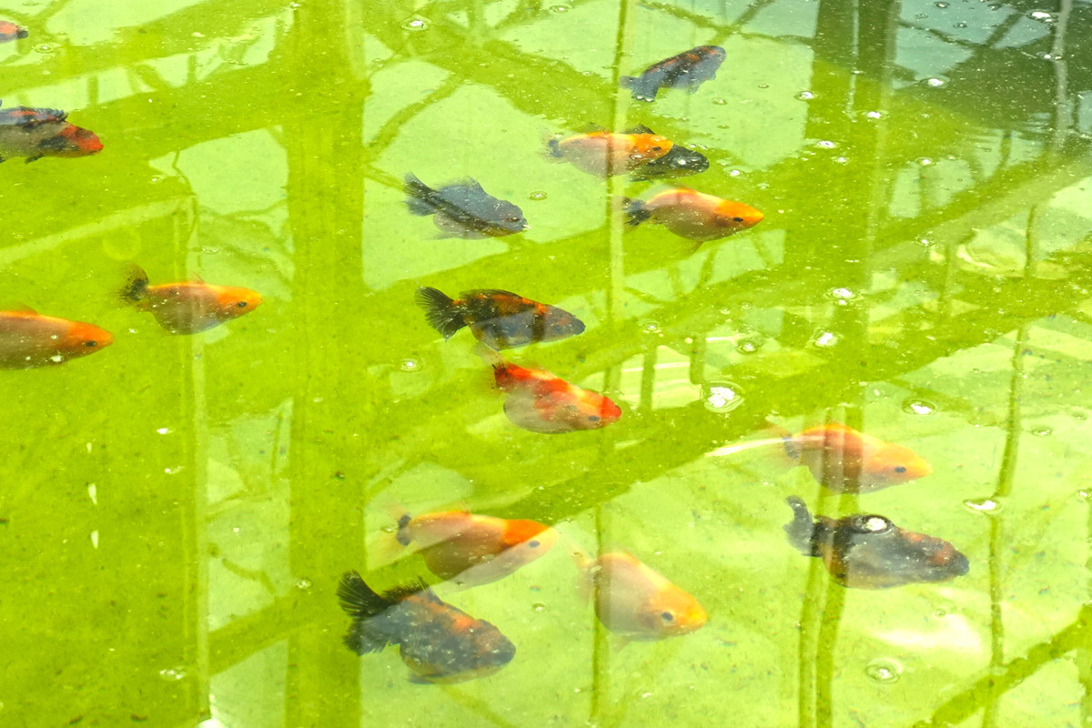 1753864811484078168.jpg 1753430090006079414_副本.jpg