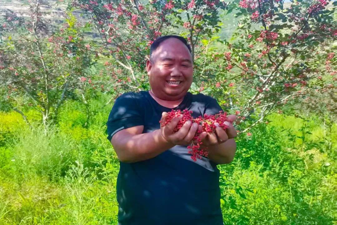 1753865167715049641.jpeg 1753429320126011476.jpeg