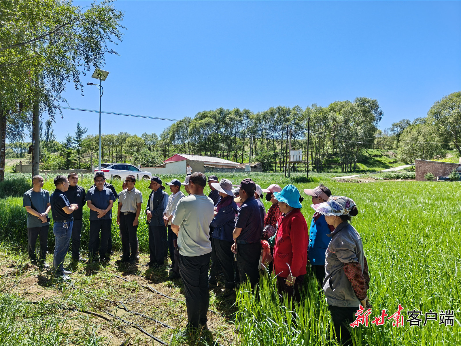 FZ100442538593_A5250074