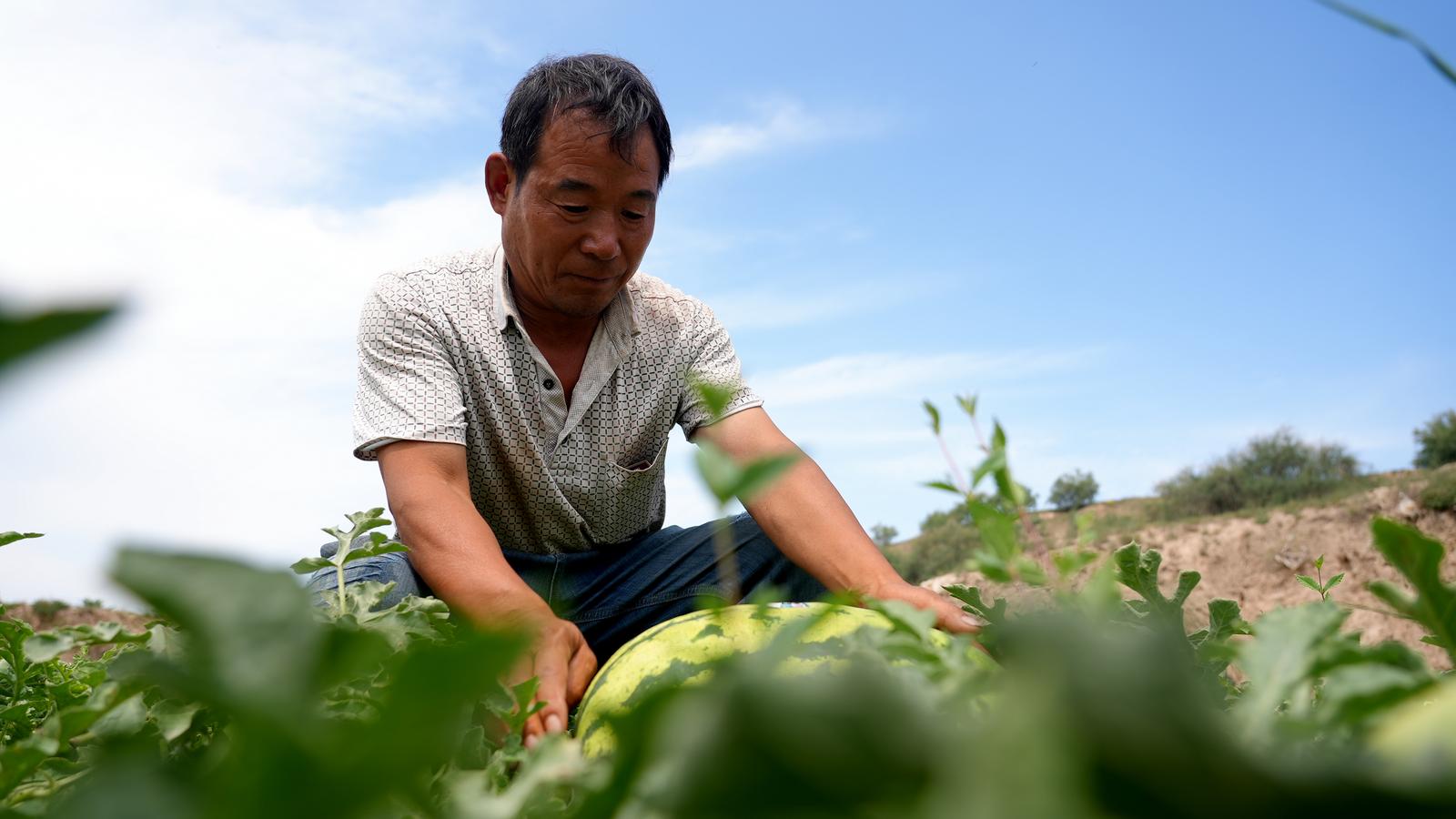 1754033761246052447.jpg 1753948625992024370.jpg