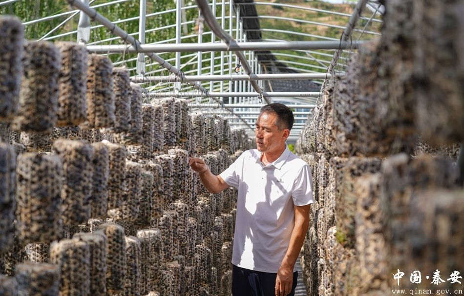 1754034148834002629.jpg 1753946822159075844.jpg