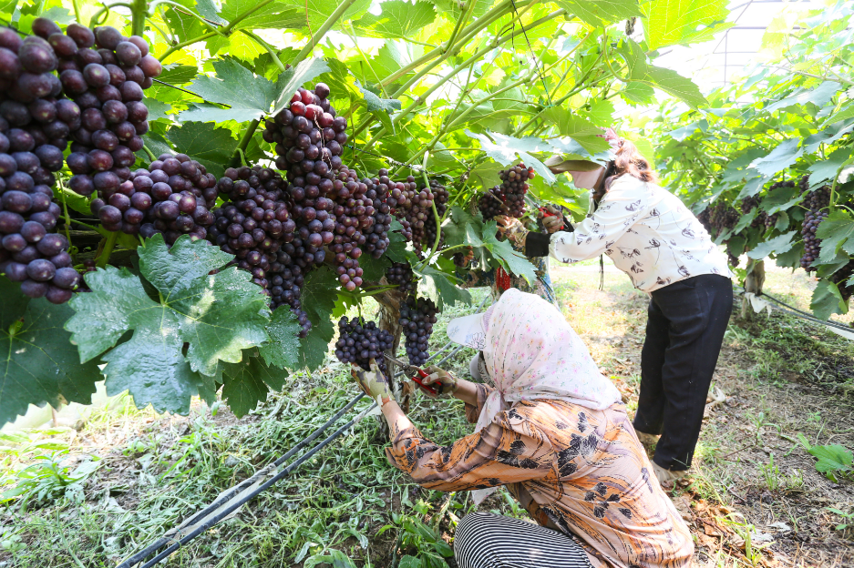 1754468394190013894.png 微信图片_20250806161928.png