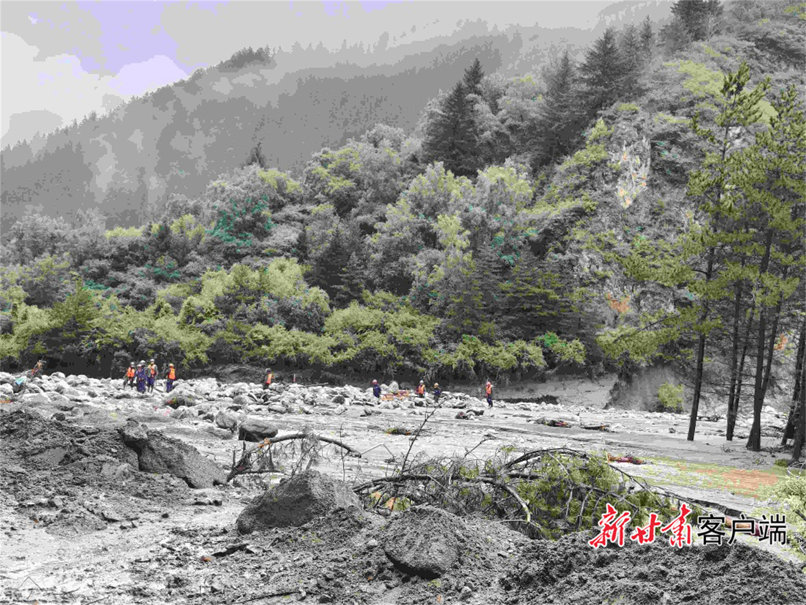 FZ007242695631_A5262961
