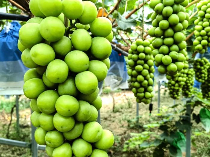 微信图片_20250807211229