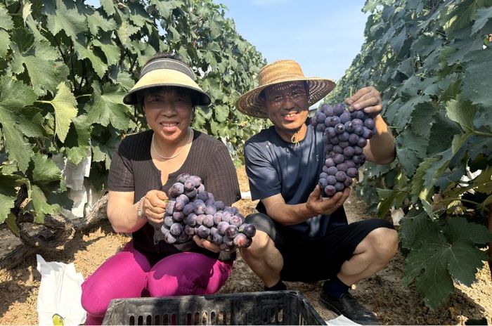 1754902253284048796.jpg 5833bdf04dfb457c99ae5cf7afe9de5b_s.jpg