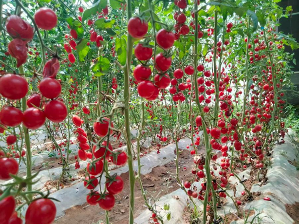 1754902673683057789.png 1754468847364032278.png