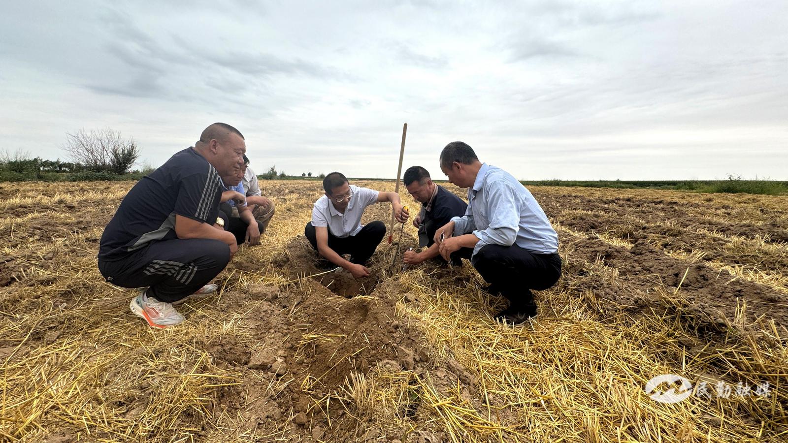 1754903154080006825.jpg 1754550981250083382.jpg