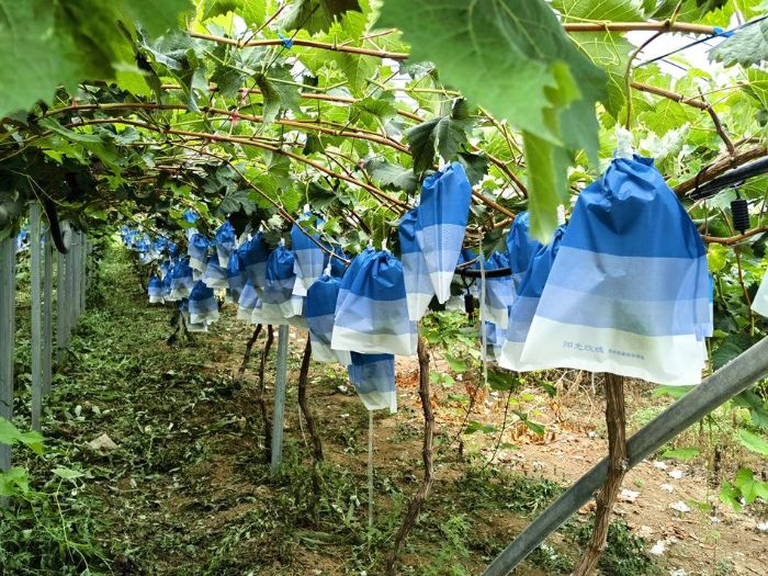 微信图片_20250807211240