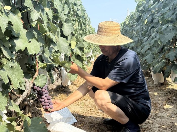 微信图片_20250807213323