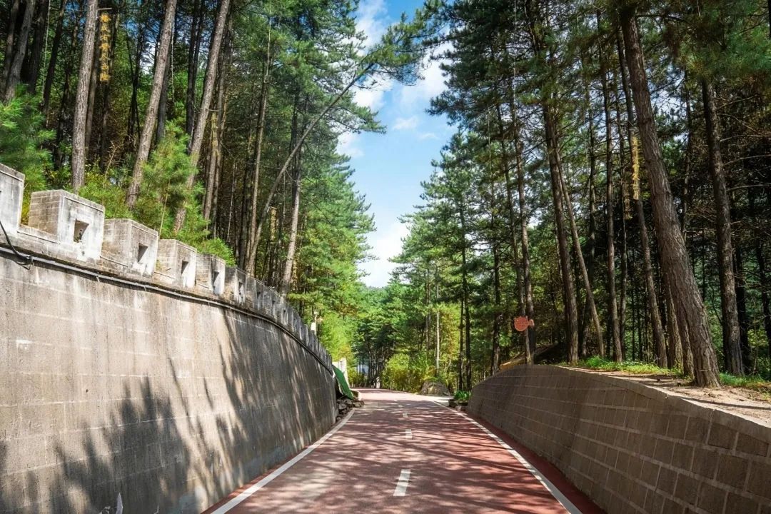 林海、道路.jpg 林海、道路.jpg