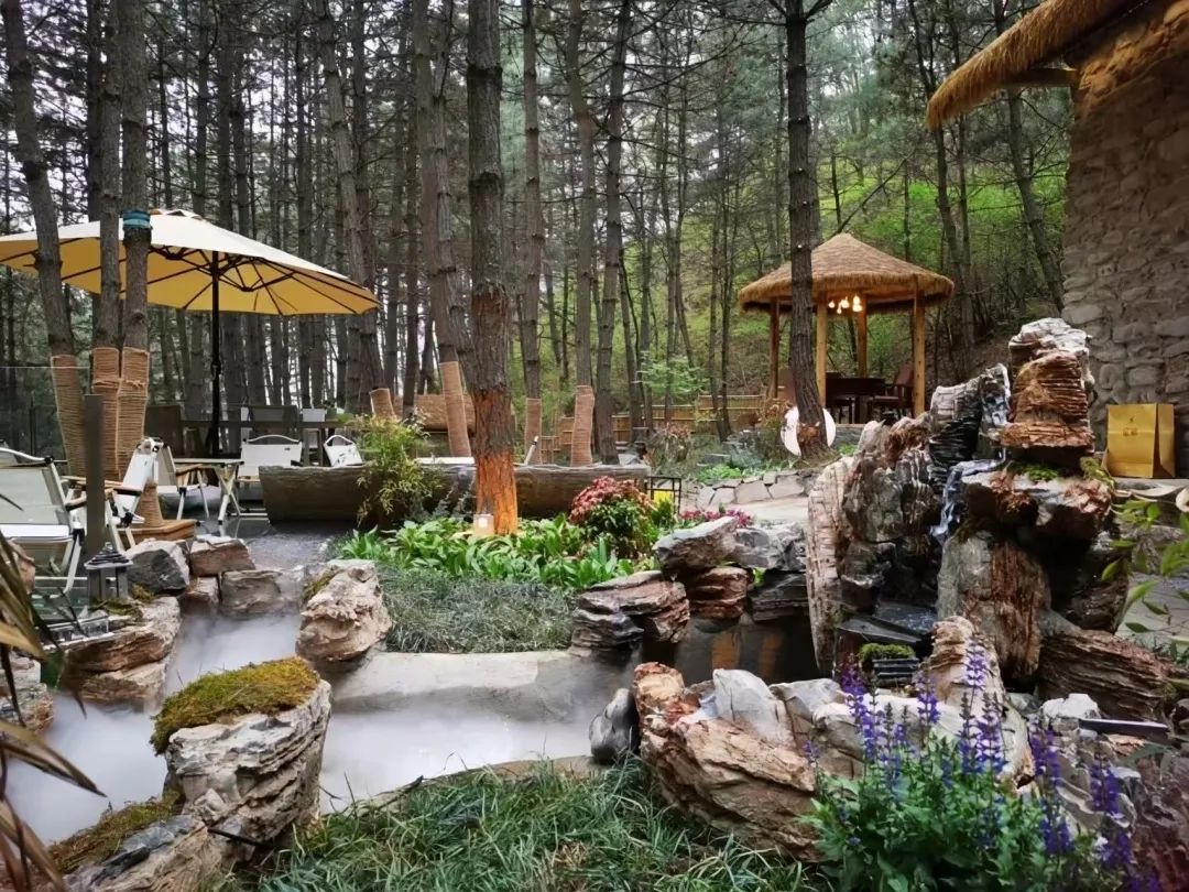 894dfdea37fed44d858fdf94f7aa3ee0.jpg 894dfdea37fed44d858fdf94f7aa3ee0.jpg