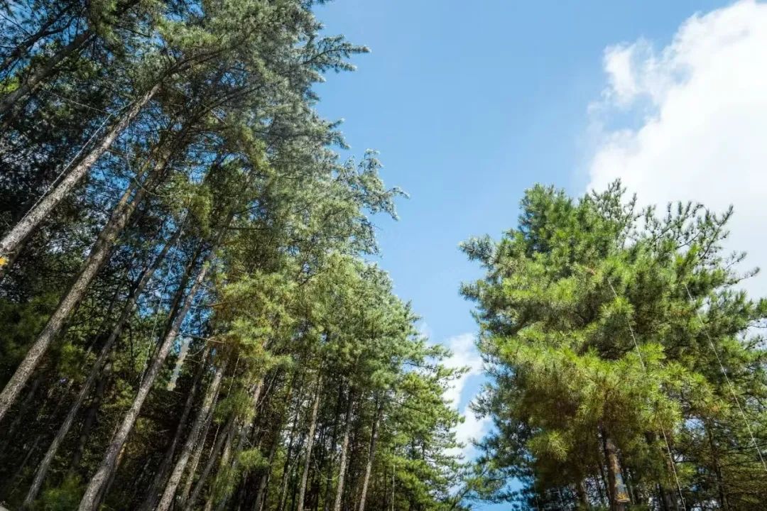 5b09d742420fba44476606fa0827f491.jpg 5b09d742420fba44476606fa0827f491.jpg