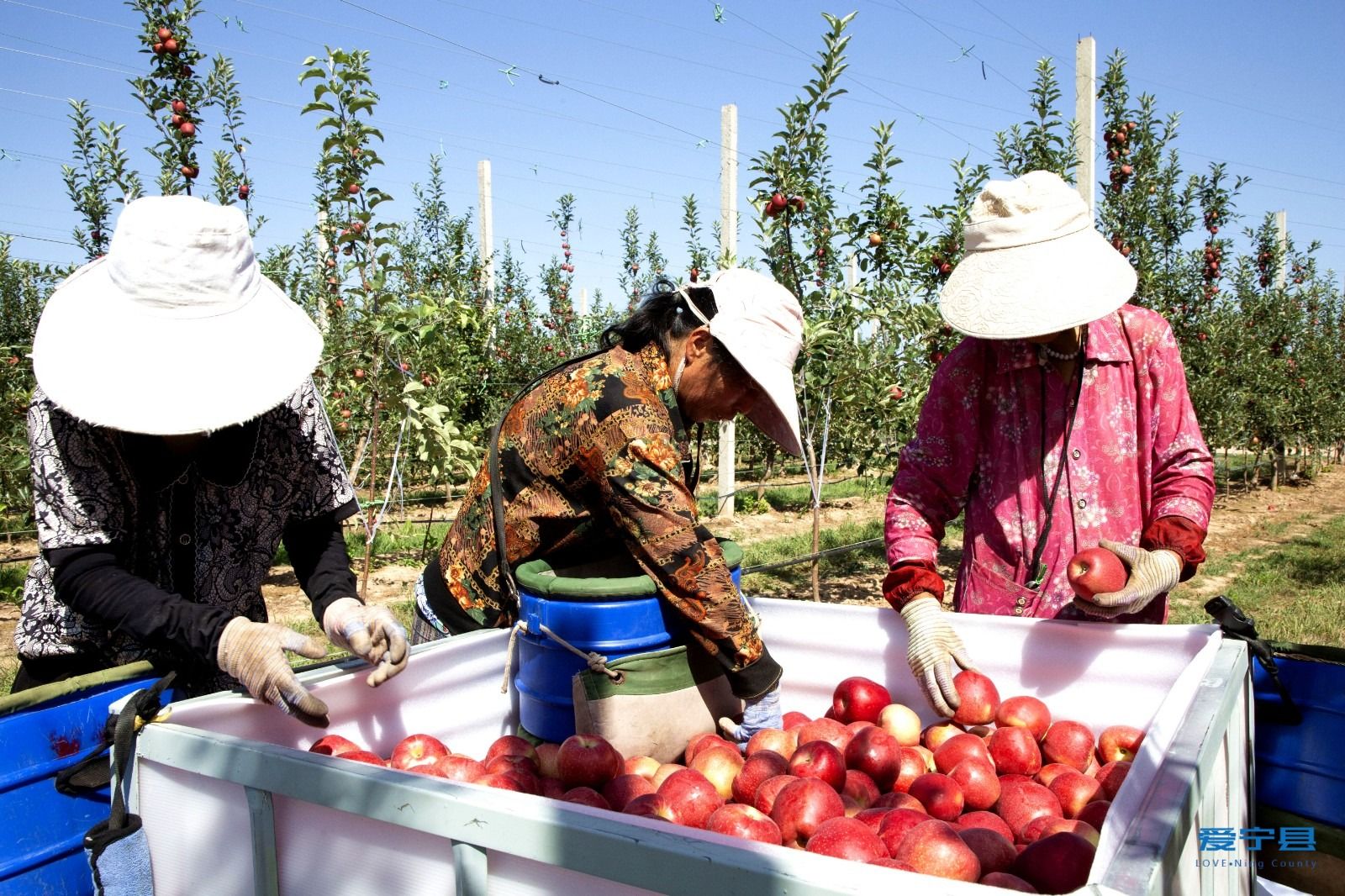 微信图片_20250814090856 微信图片_20250814090856