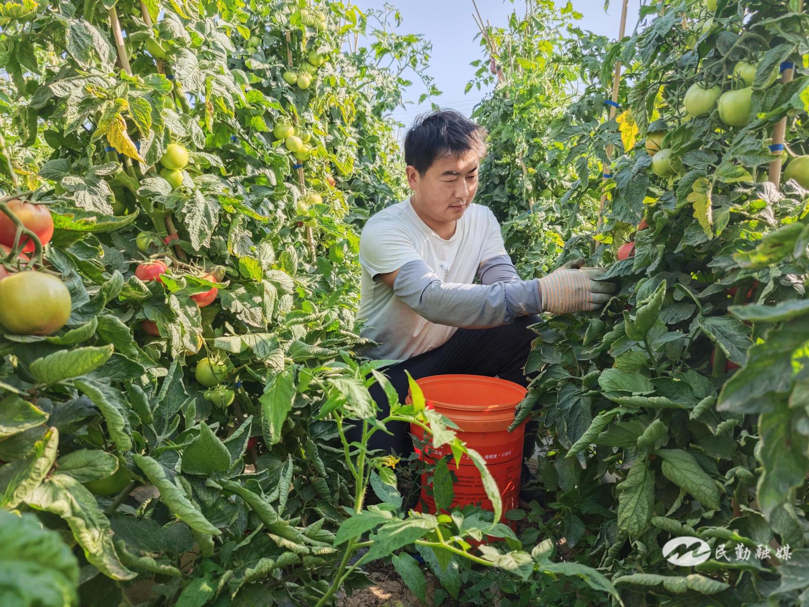 1755244858355081436.jpg 1755242681298052013.jpg