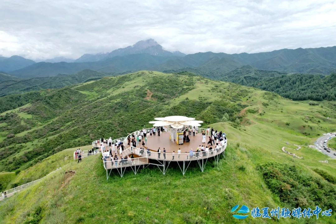 1755245486639098489.jpeg 1755157068741073104.jpeg