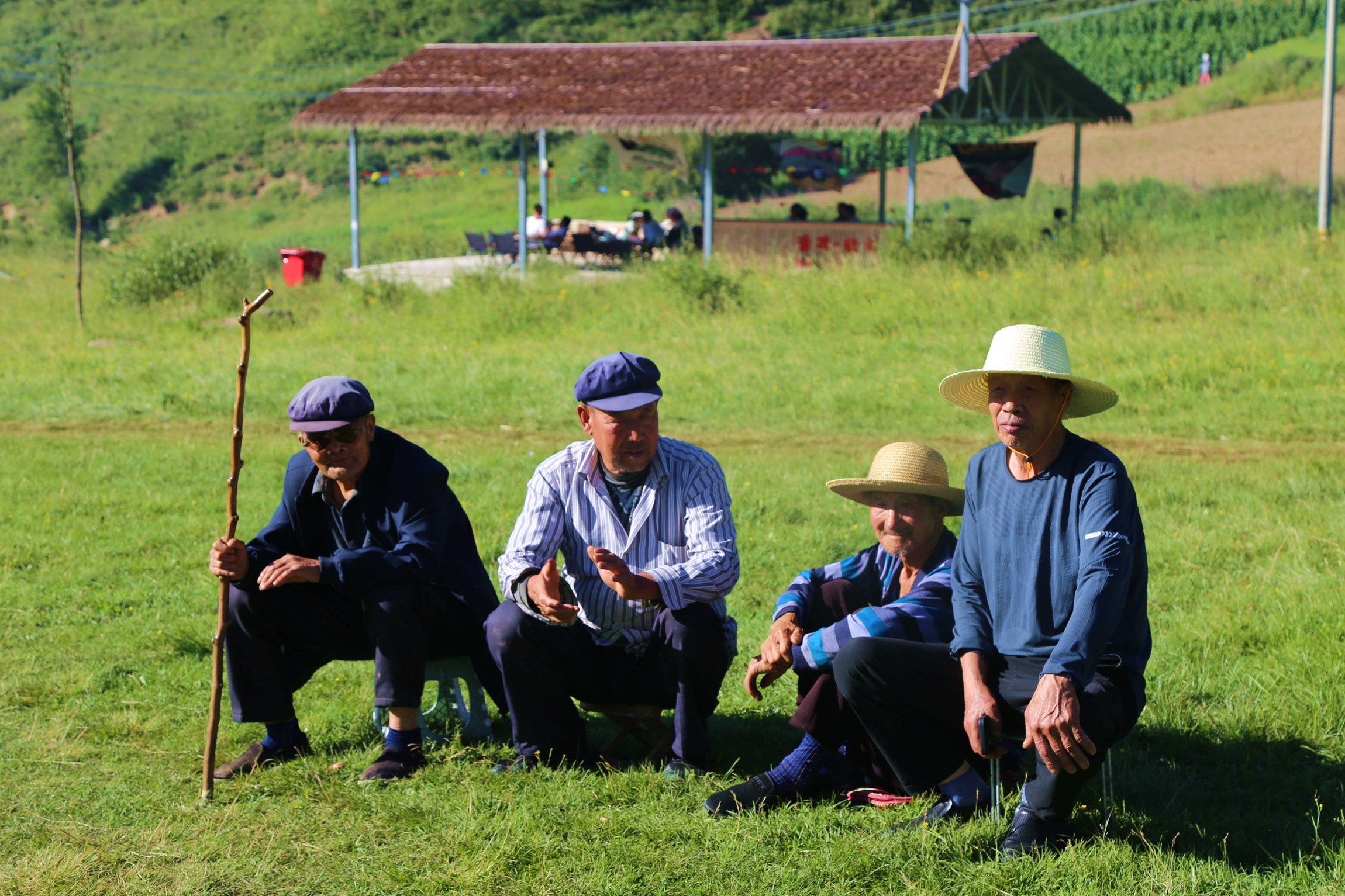 微信图片_2025-08-14_092653_139_副本