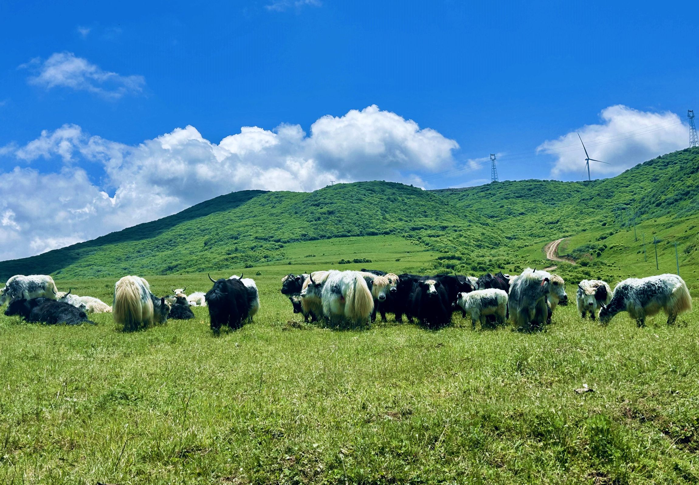 微信图片_2025-08-14_092726_203_副本