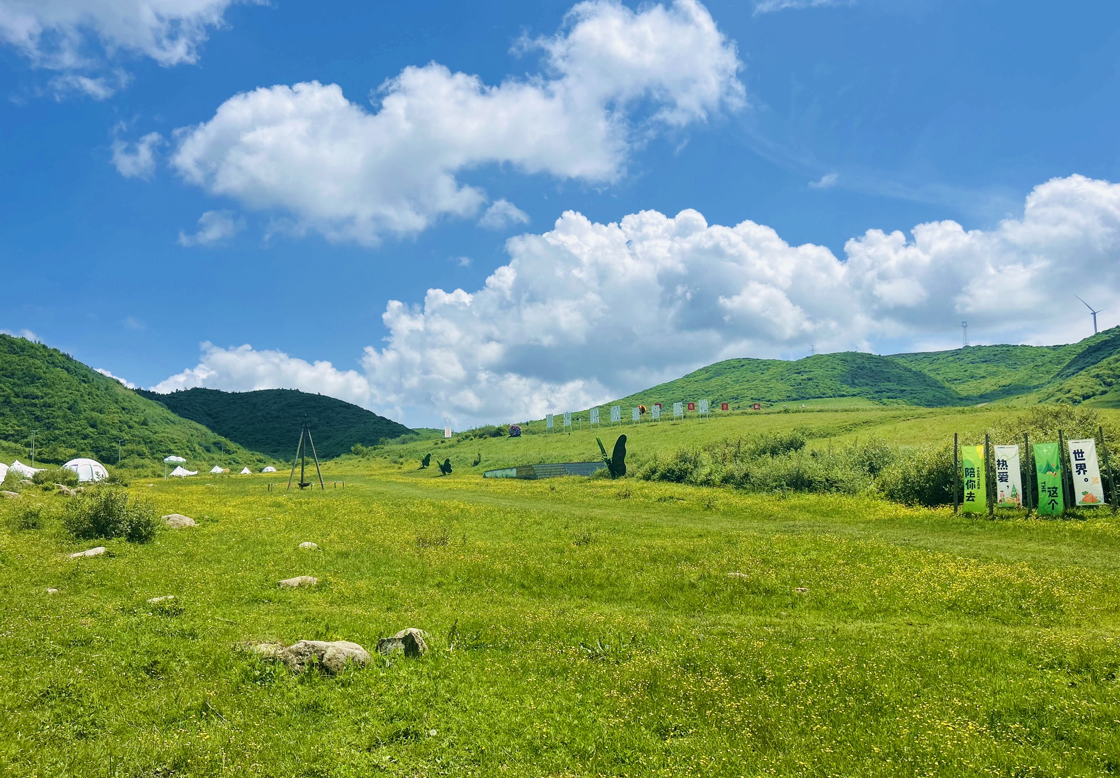 微信图片_2025-08-14_092716_476_副本