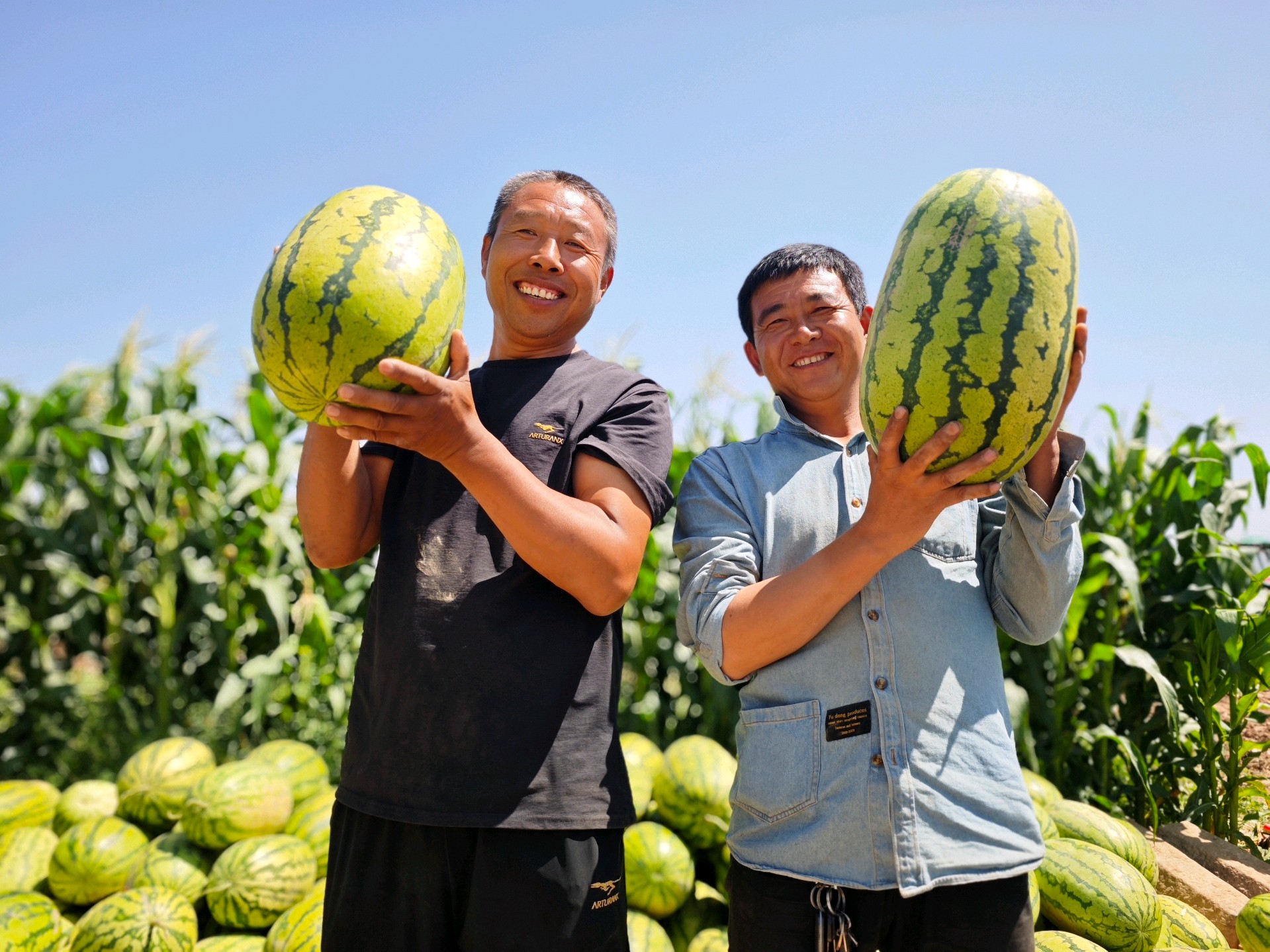 1755661335974030789.jpg c46ef2202a6349d3a6c02f64bf62519b.jpg