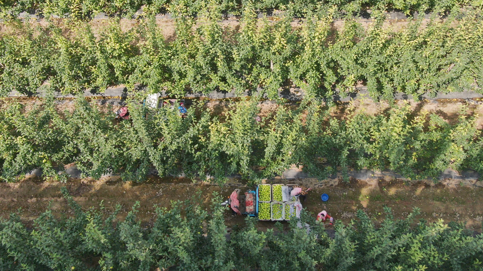 1755661798004034872.jpg 1755133267205050791_副本.jpg