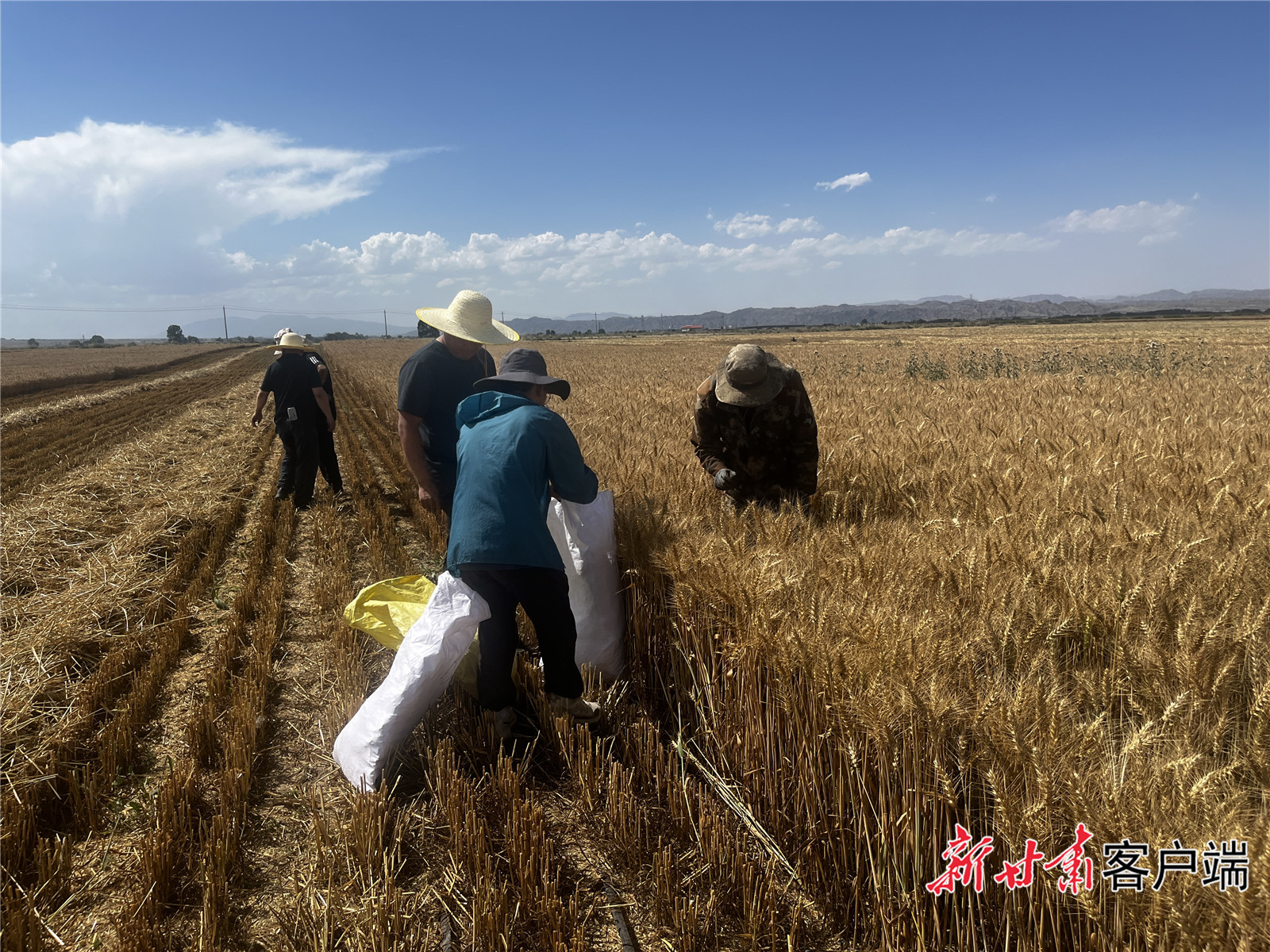 FZ007242964680_A5288381