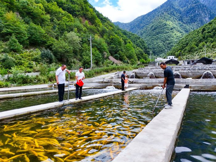 1755847956858090293.jpg 407e7039d95e411f9b2194c7eb25567b_s.jpg