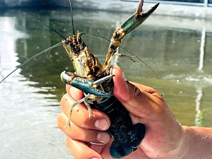 微信图片_20250819201313