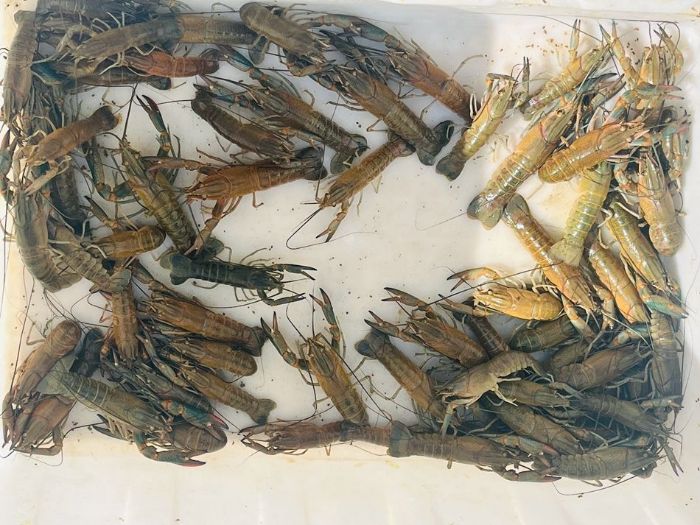 微信图片_20250819201302