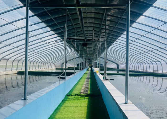 微信图片_20250819201350