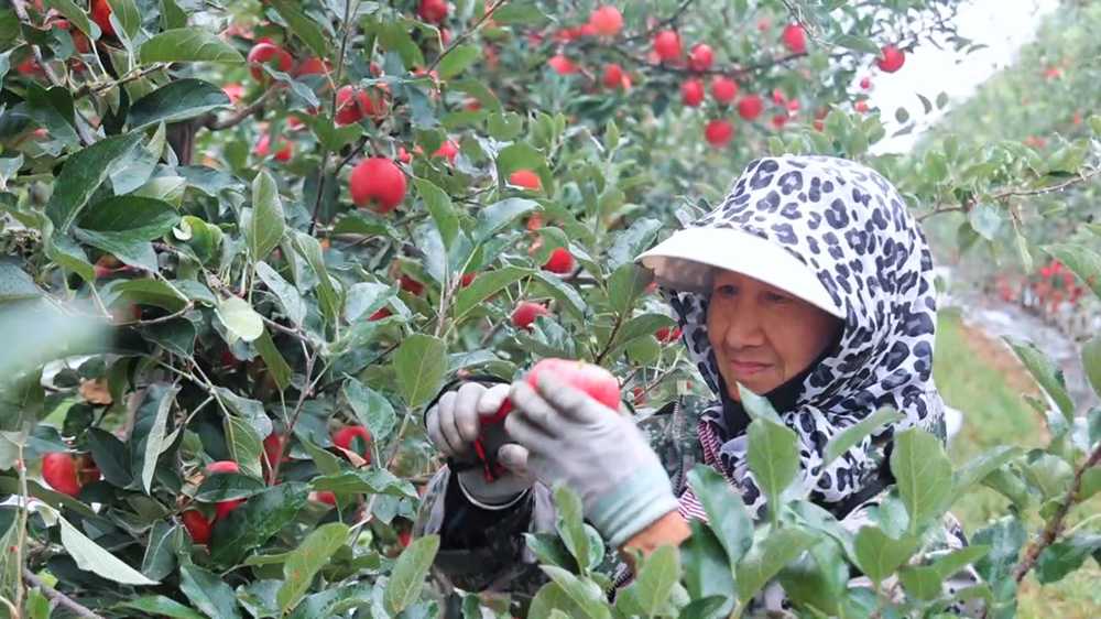 1756112817246055921.png 1755833702330022411_副本.png