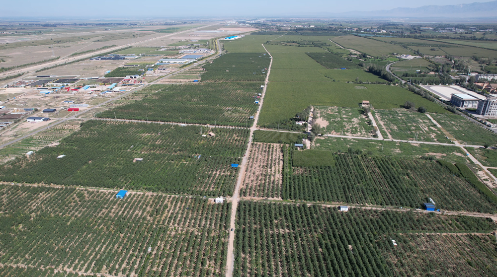 1756281891661063808.png ac3caec4a82140cd95f8242d4aee0da5_副本.png