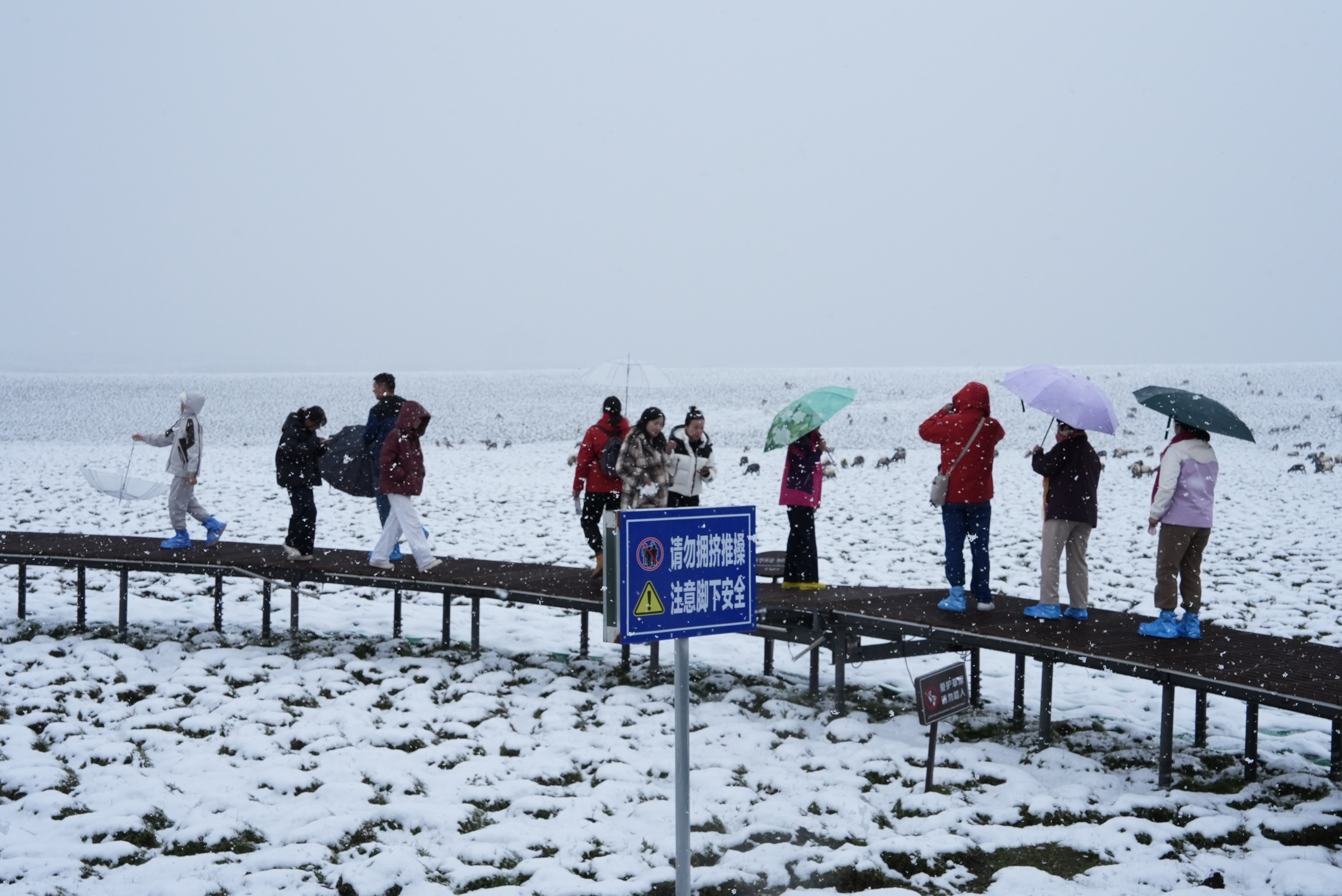 微信图片_2025-08-29_153259_134