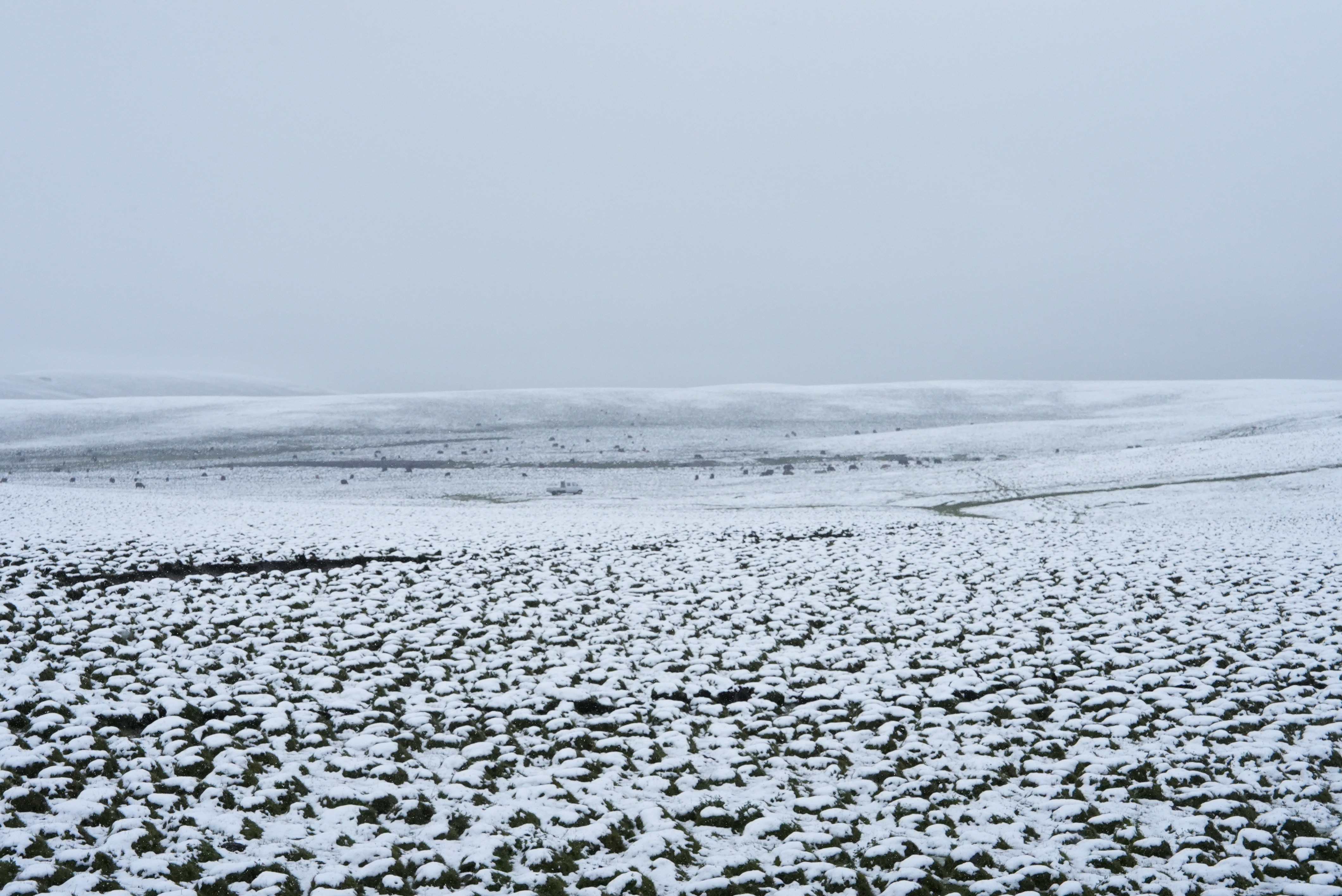 微信图片_2025-08-29_153252_143