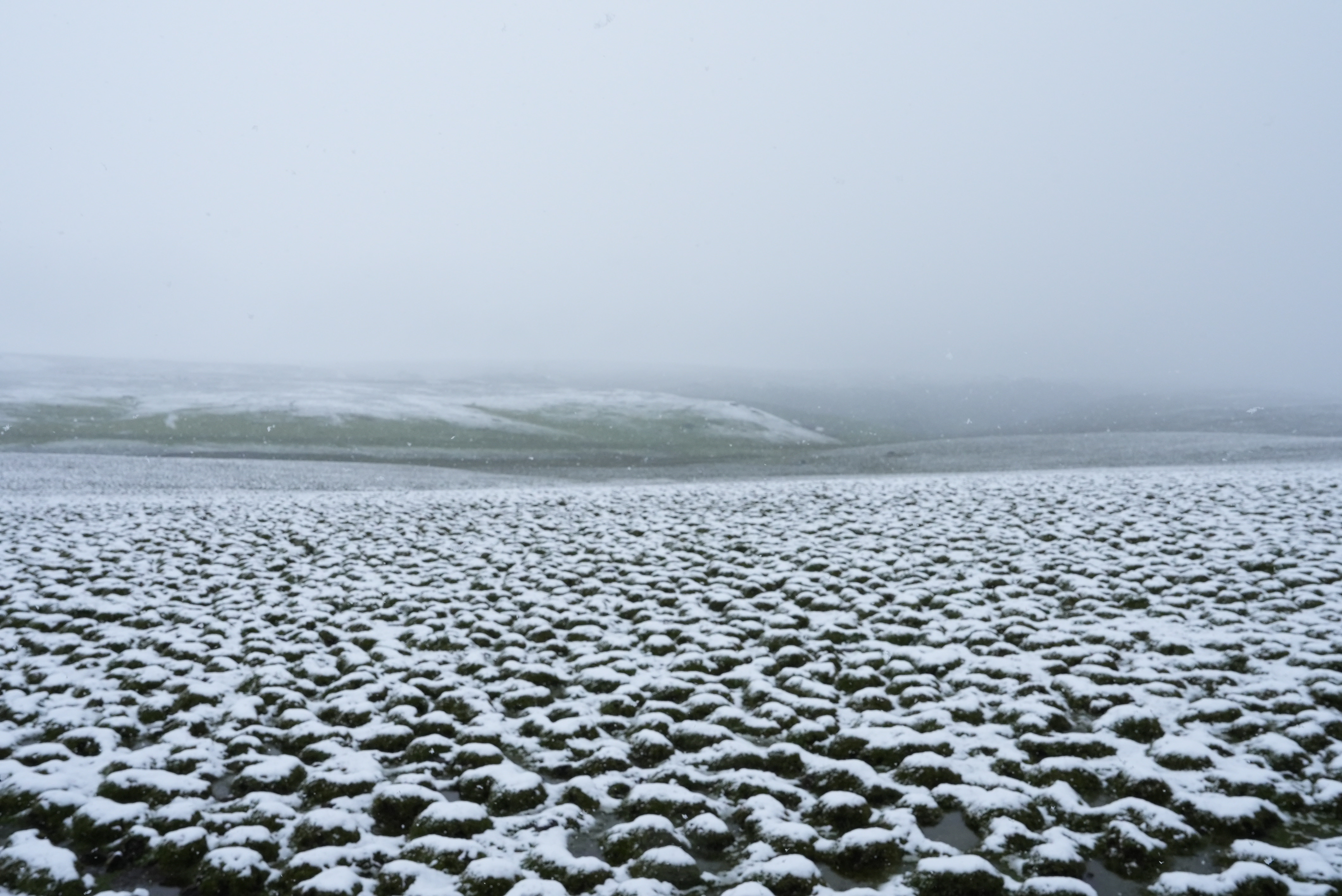 微信图片_2025-08-29_153255_494