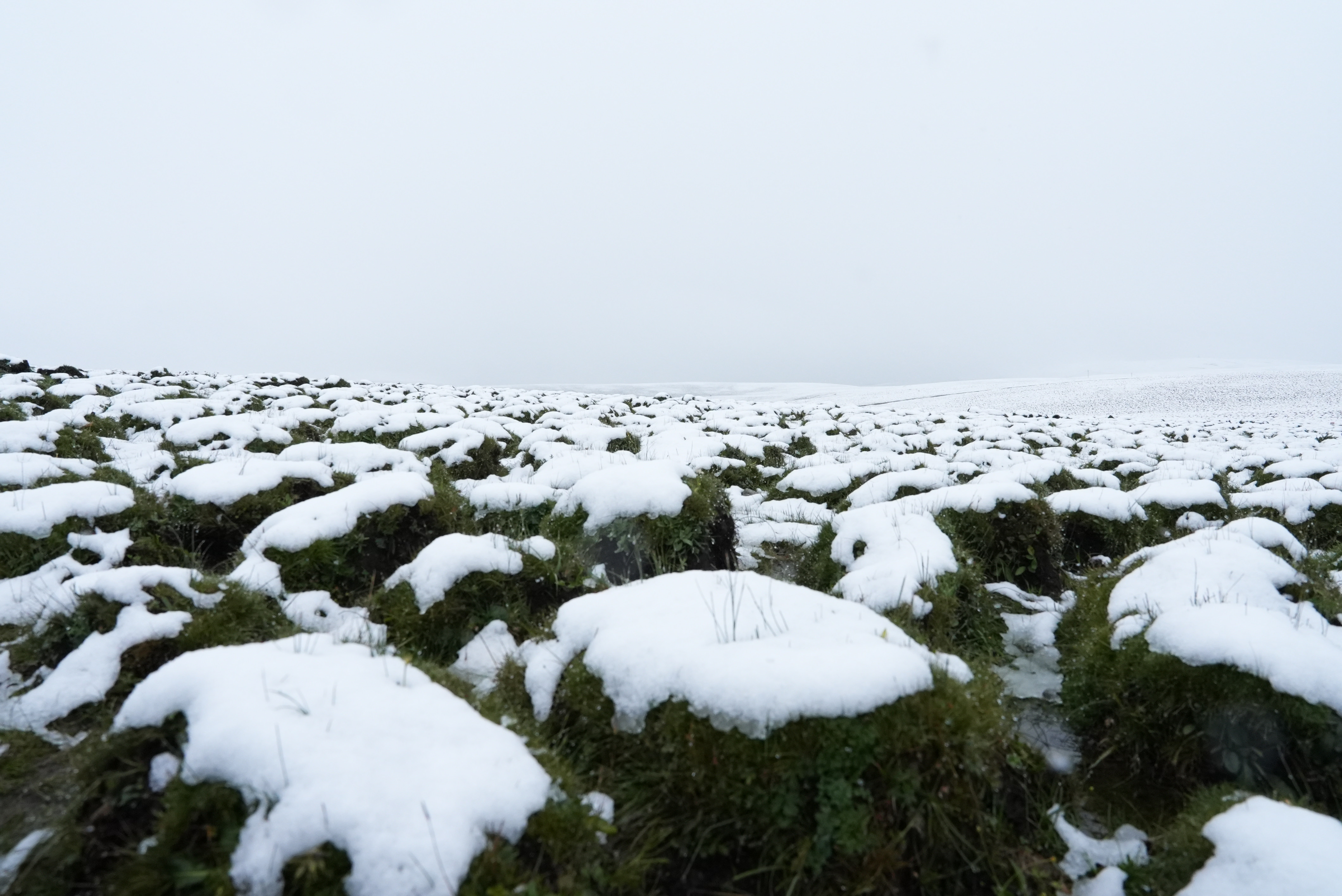 微信图片_2025-08-29_153303_366