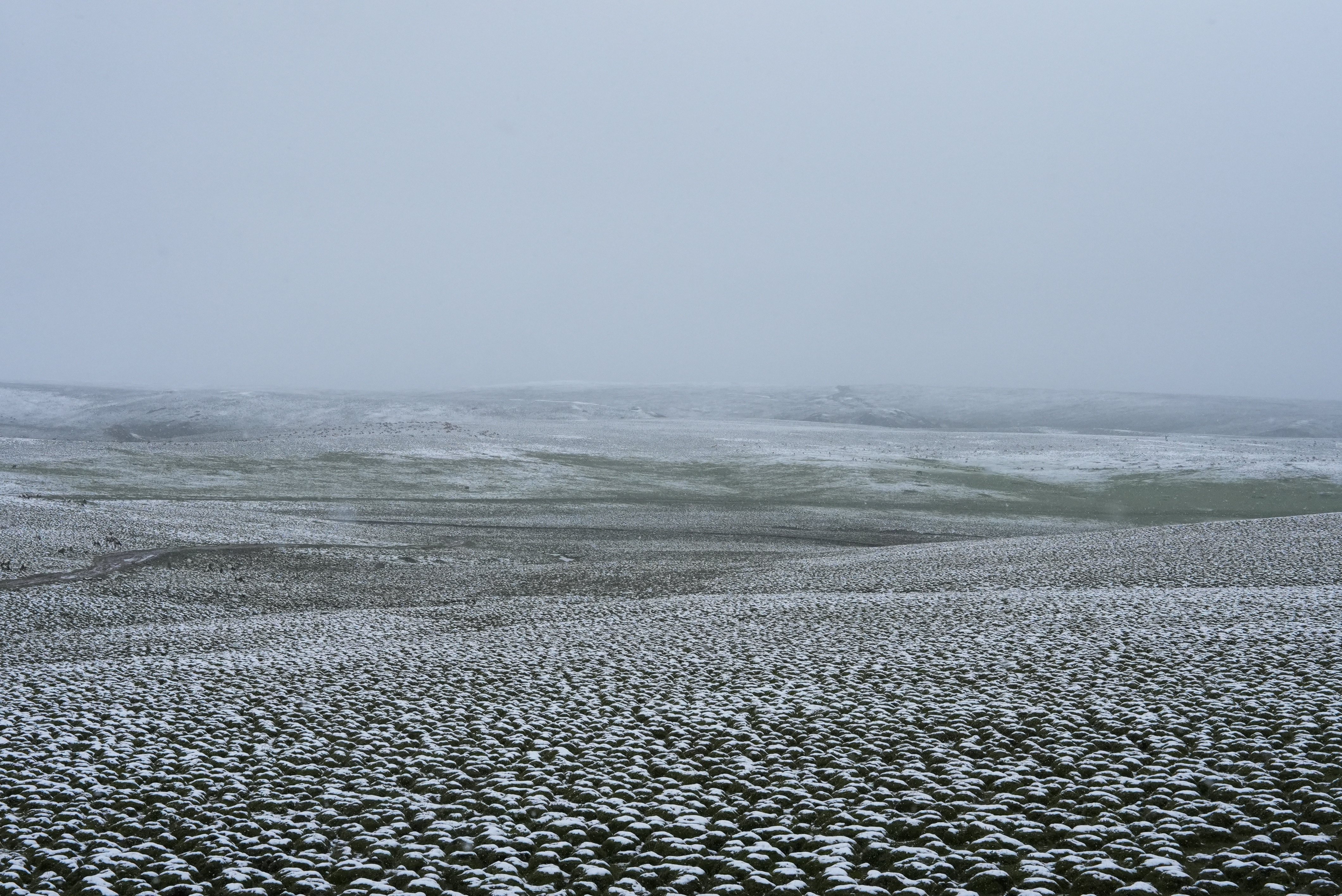 微信图片_2025-08-29_153315_662