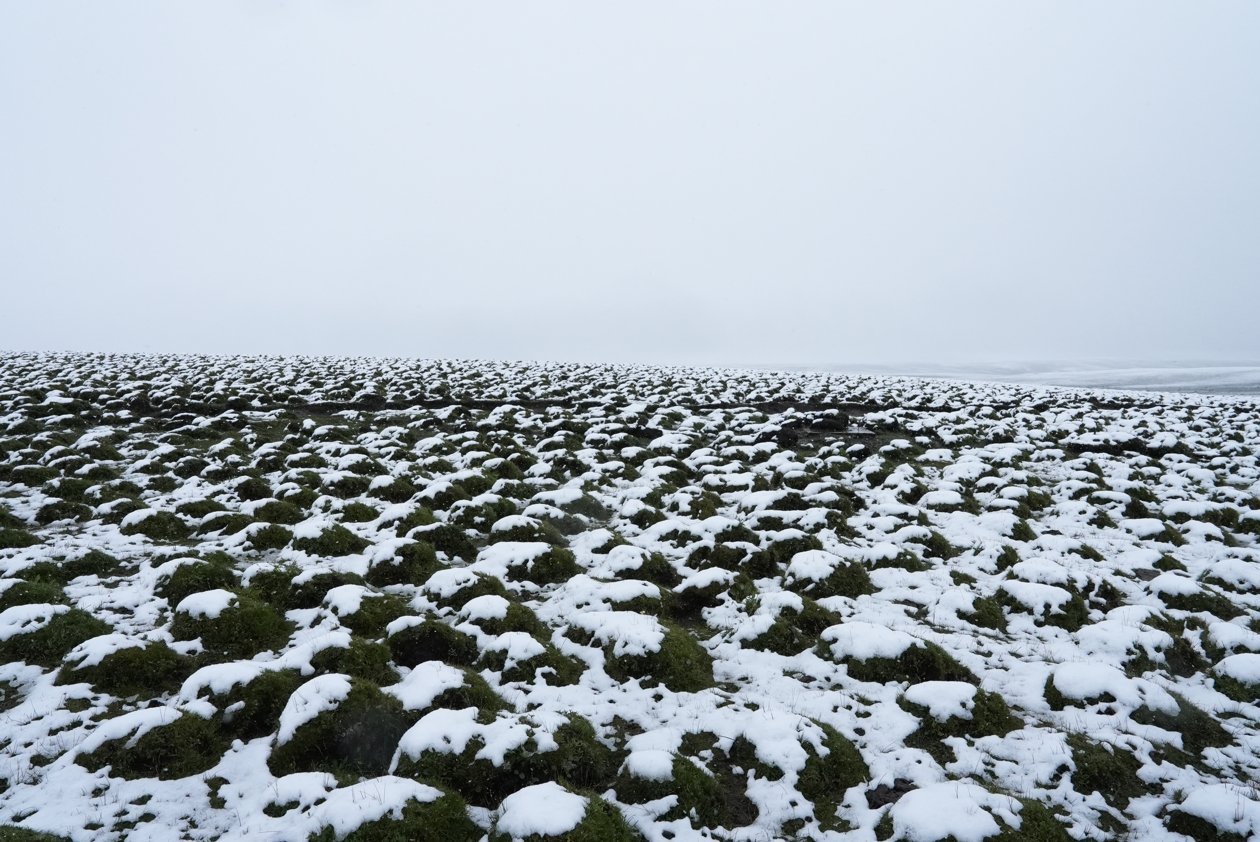 微信图片_2025-08-29_153325_080