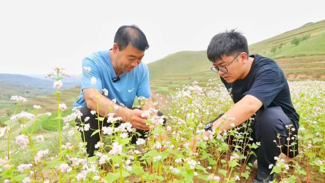 1756718431889046405.jpg 1756711346587059004.jpg